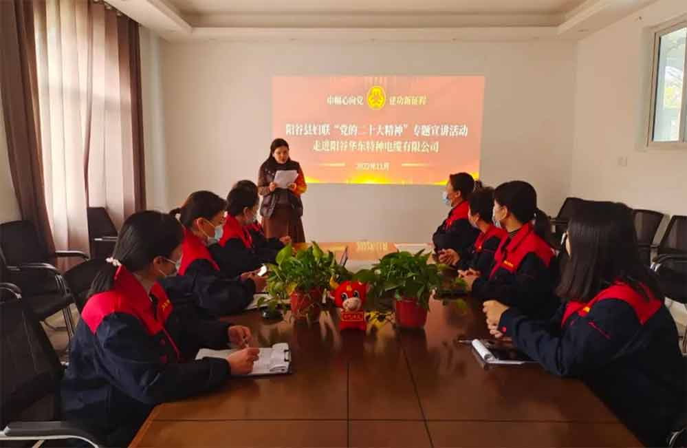 陽谷華東特種電纜積極參與“巾幗心向黨 建功新征程”黨的二十大精神專題宣講活動